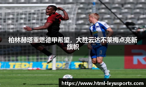 乐鱼体育公司