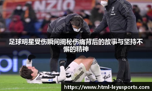 乐鱼体育公司